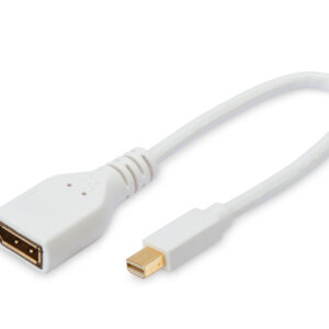 0.2M MINI DISPLAY PORT TO DISPLAY PORT ADAPTOR M-F